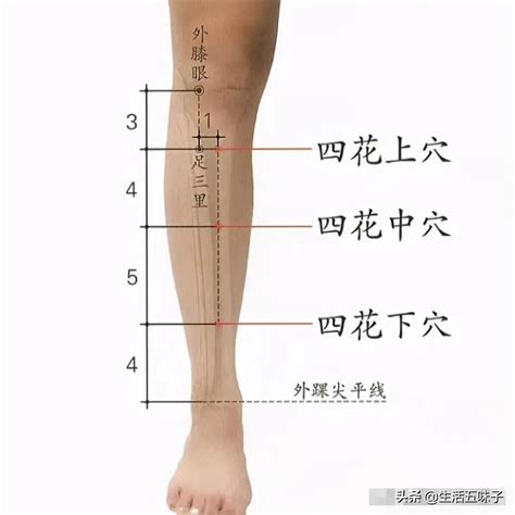 四花上穴|最新實用董氏針灸奇穴全集：四花上穴